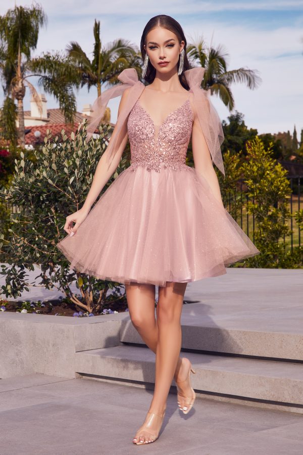 A-LINE SHORT TULLE DRESS - Image 6