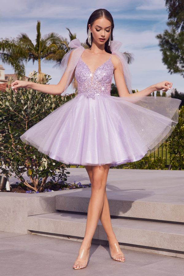 A-LINE SHORT TULLE DRESS - Image 4