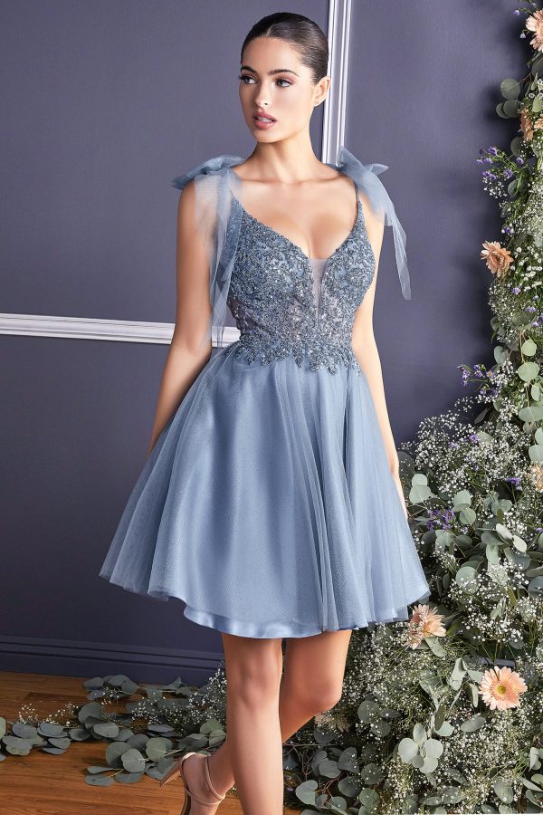 A-LINE SHORT TULLE DRESS - Image 7