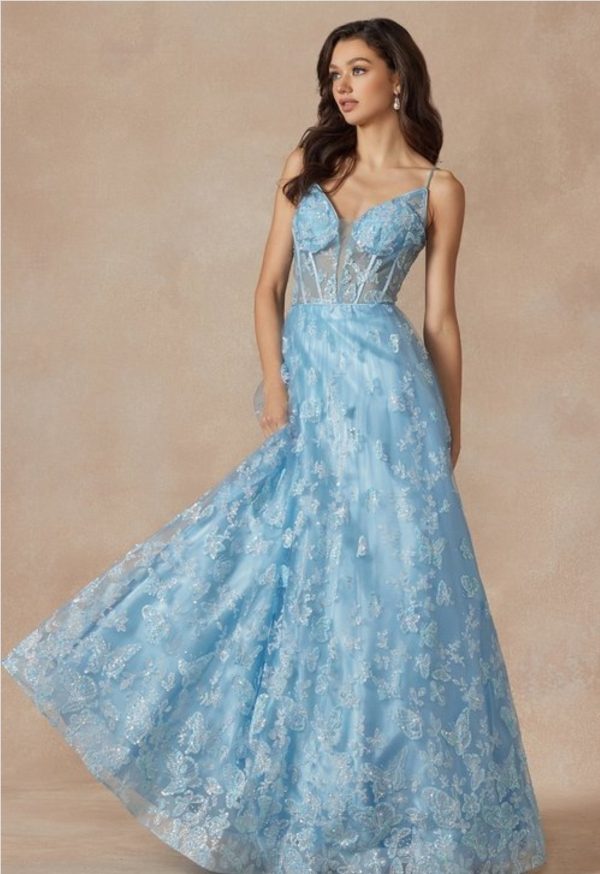 BUTTERFLY GLITTER EMBROIDERED GOWN WITH CORSET TOP