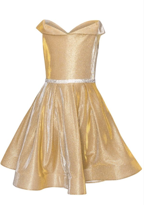 Gold Shimmer Glitter Dress