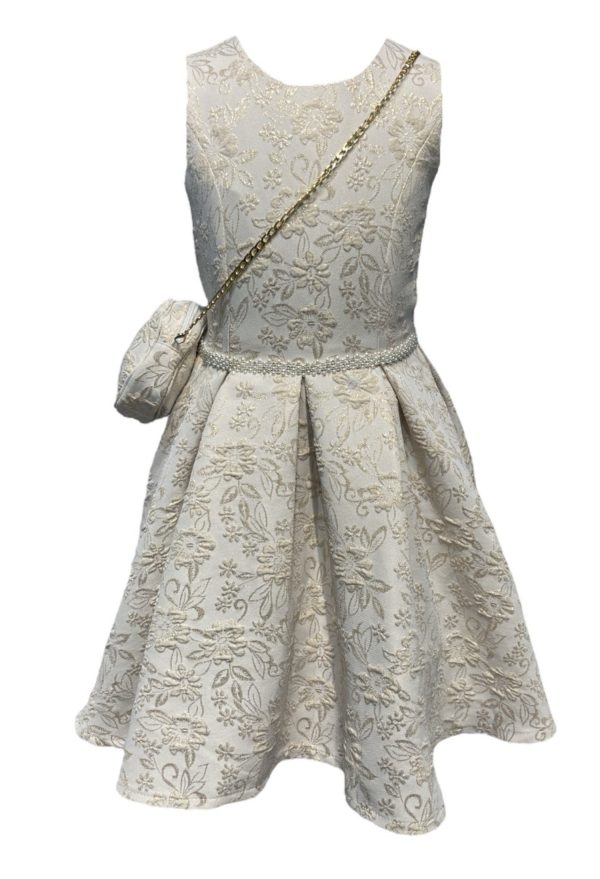 Champagne Jacquard Foil Print Dress