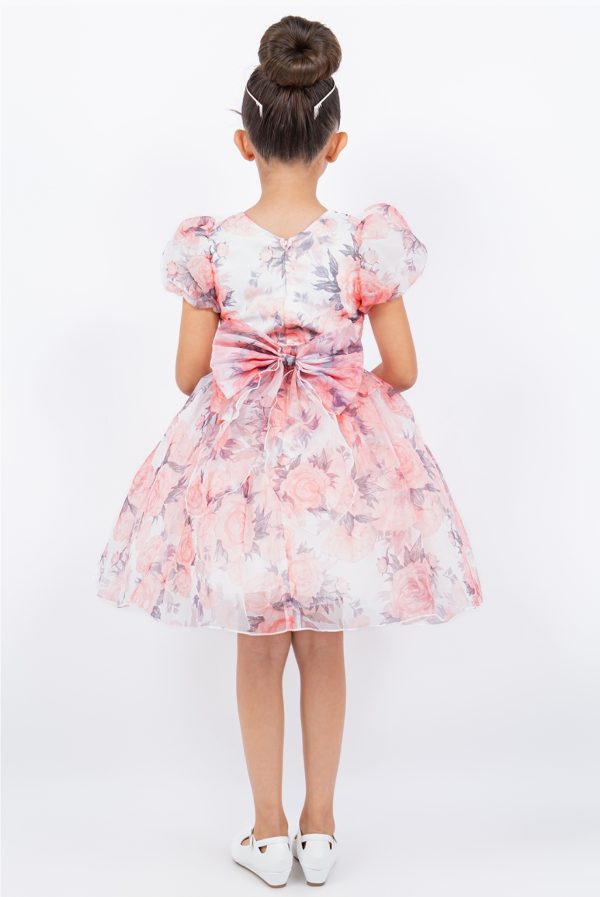 Peach Big Puff Sleeve Print Dress - Image 4