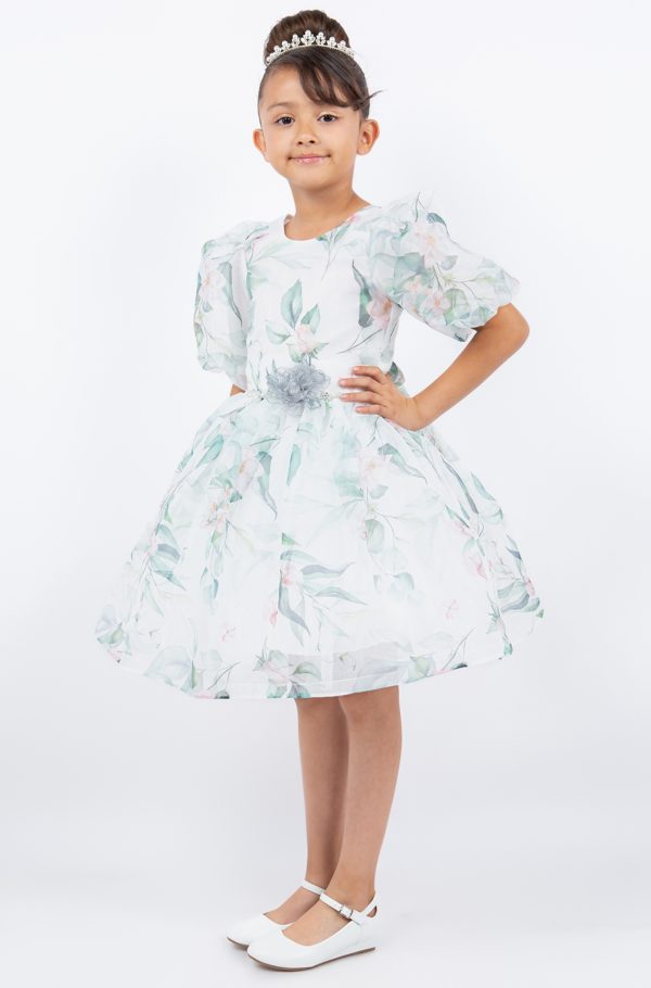 Sage Big Puff Sleeve Print Dress