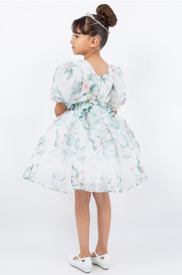 Sage Big Puff Sleeve Print Dress - Image 3