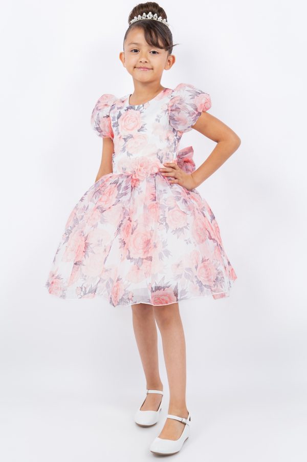 Peach Big Puff Sleeve Print Dress - Image 2