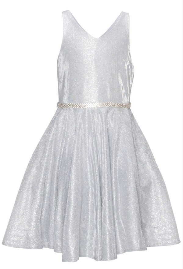 Silver Sleeveless Sparkly Dress