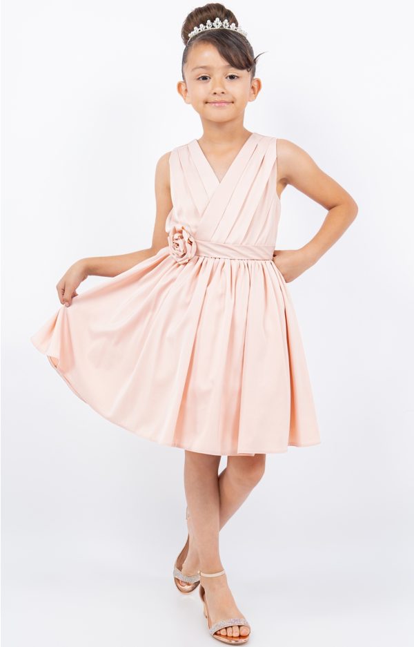 Blush V Neck Plead Dress