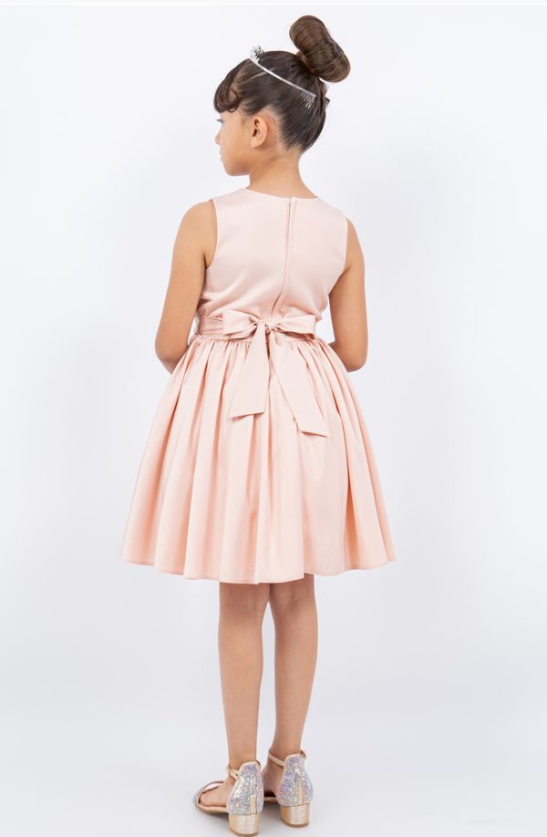 Dusty Rose V Neck Plead Dress - Image 3